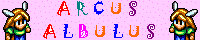 ɂ锒