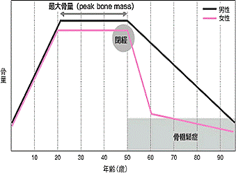 図2-4：骨量の経年的推移の男女差