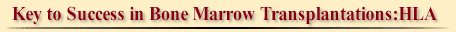 HLA TYPE:The Key to Success in Bone Marrow