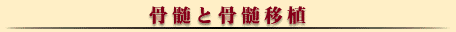 骨髄と骨髄移植