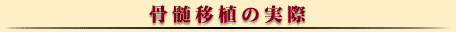 骨髄移植の実際