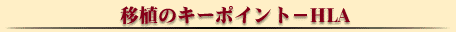 移植のキーポイント・・・HLA