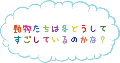 動物たちは冬どうやって過ごしているのかな