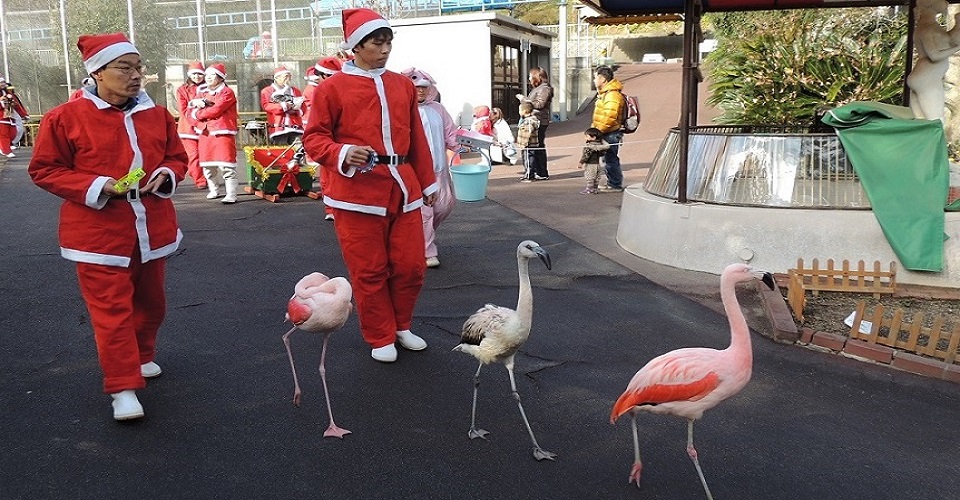 クリスマスアニマルパレードの様子