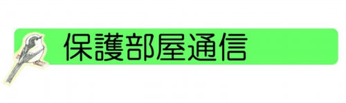 保護部屋通信.jpg