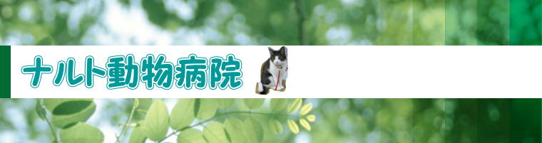 ヘッダーイメージ