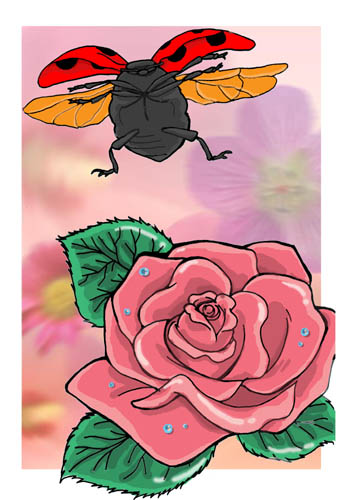 ĂƂ