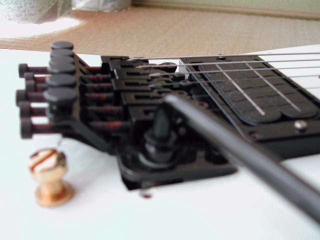 わしのギター。