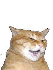 Tora-Gabriel